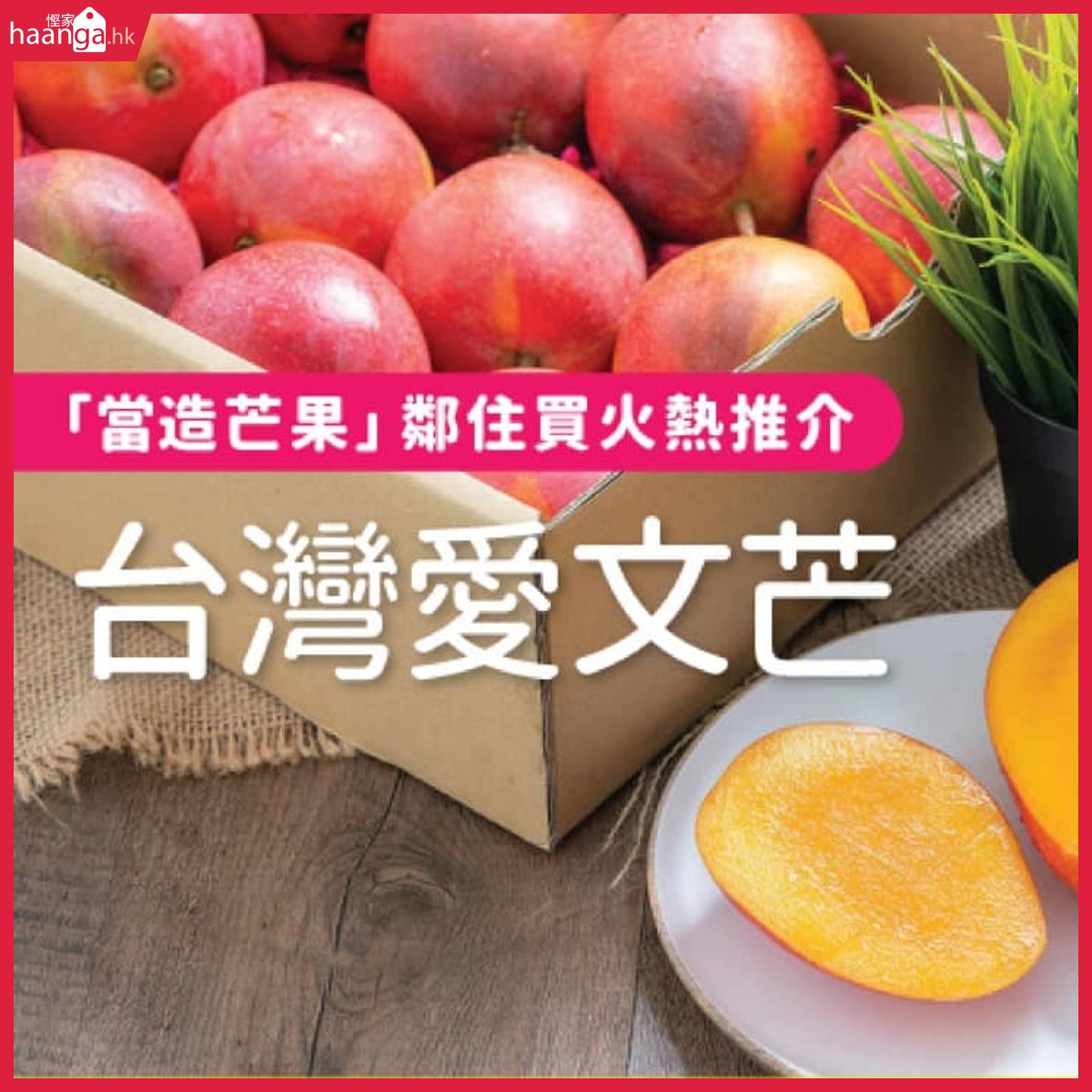 21 年9月至10 月 鄰住買neigbuy 優惠碼 推廣編號 香港適用 Haanga Hk 香港慳人包 21 年9月至10 月 鄰住買neigbuy 優惠碼 推廣編號 香港適用 Haanga Hk 香港慳人包